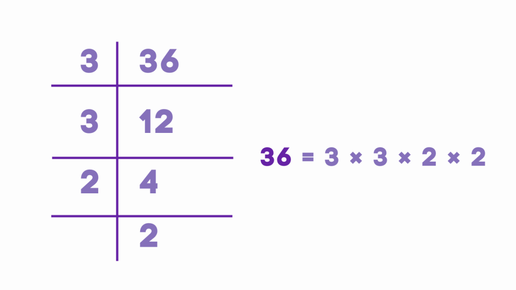 Prime Factorization of 36 using division method