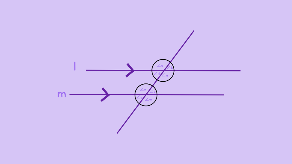 Identifying Corresponding Angle - Step 3