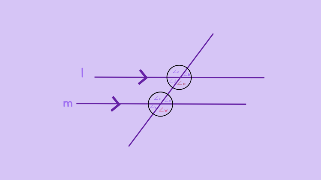Identifying Corresponding Angle - Step 4