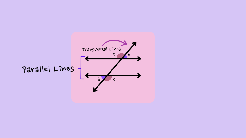 Step 3 Alternate Exterior Angles