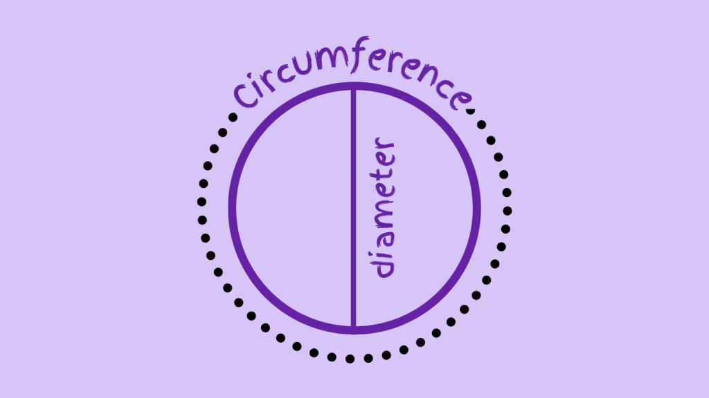 diameter and circumference